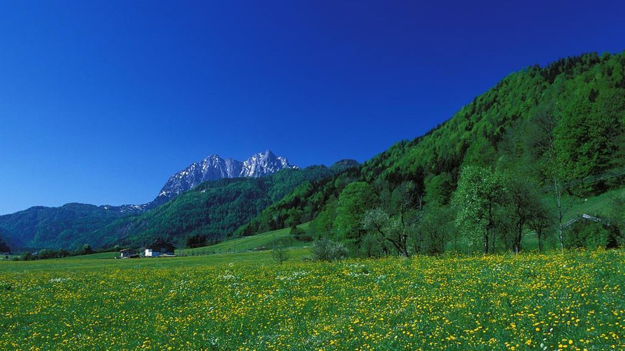 Kohlental im Mai Kohlental im Mai